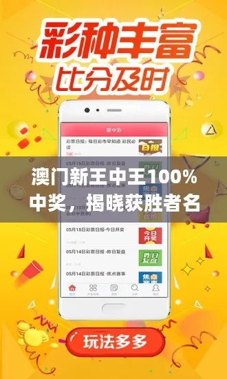 新澳门王中王100%期期中|实证分析解释落实_极限版6.426